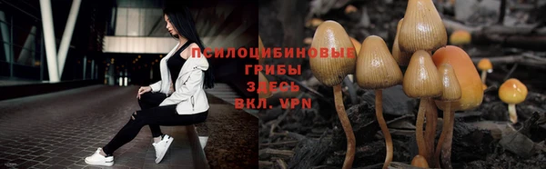 спайс Пролетарск