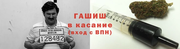 прущие грибы Балабаново