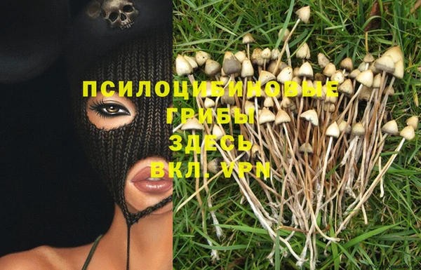 a pvp Баксан